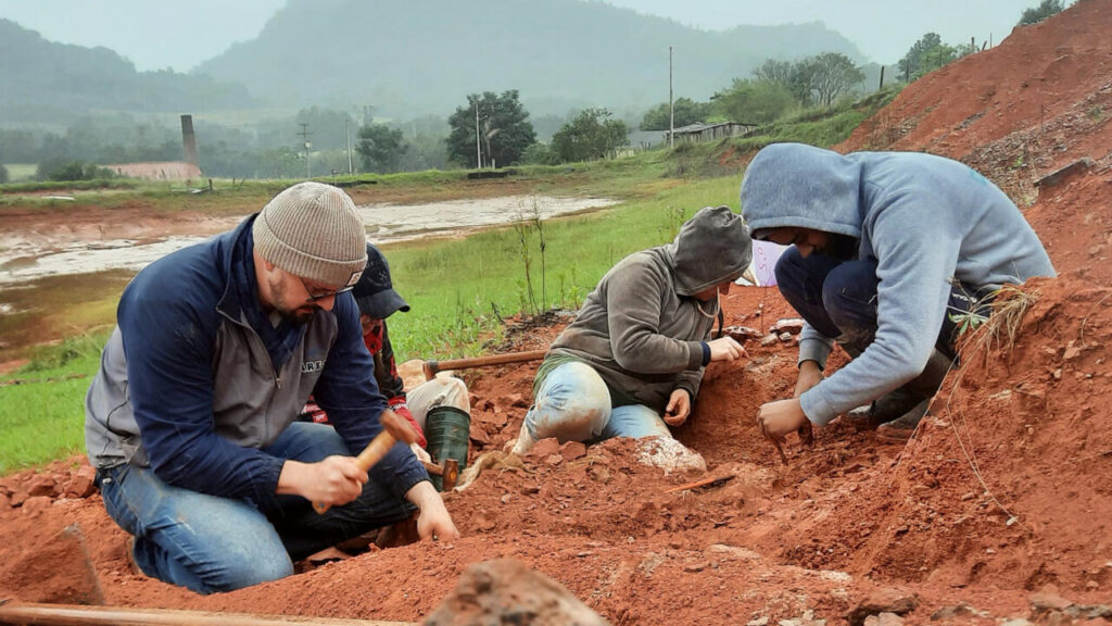 'Well-preserved' dinosaur fossil revealed by Brazilian flood