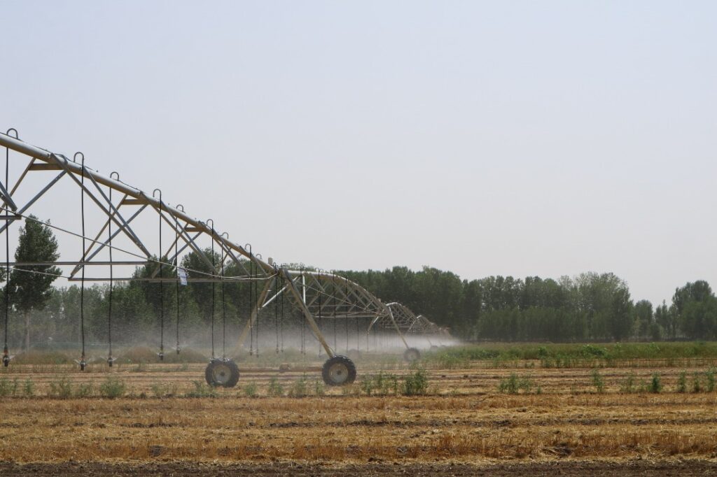 Jinan demonstration area showcases high-tech agriculture in action