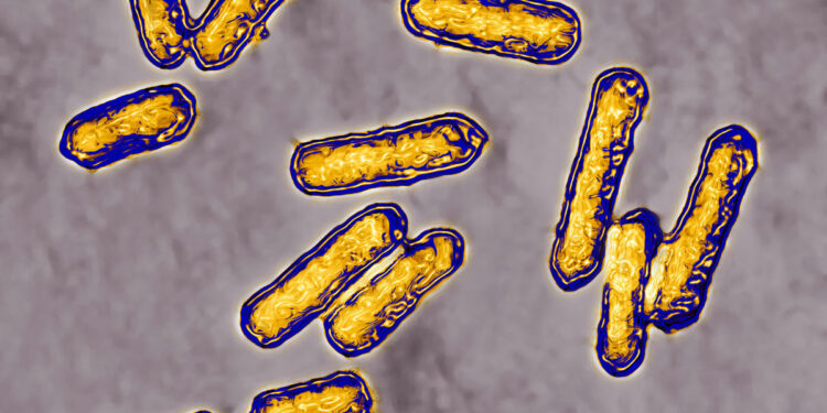 At least 7 in New York sickened in listeria outbreak linked to deli meats. Map shows number of cases across U.S.