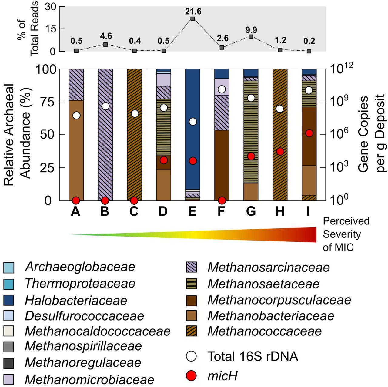 Recommendations for Future Research on Archaeal Ecology and Conservation Strategies