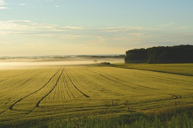 Outlook for Collaborative International Efforts in Combating Land degradation