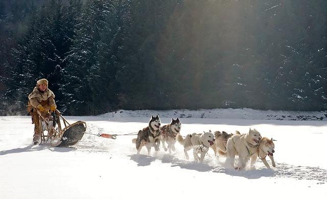 Archaeological Evidence Supporting the ⁣Use⁣ of Sleds‍ in‍ Harsh⁢ Environments