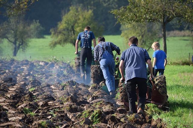 investigating the Circumstances Surrounding the Tragic Incident