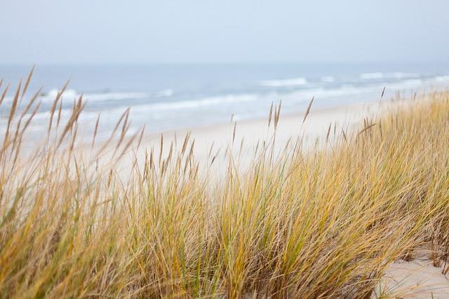 Impact ​of Rising Sea‌ Levels on Coastal Archaeological ⁣Sites