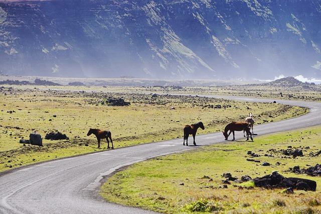 Balancing​ Technology Development with Environmental Sustainability in Chile