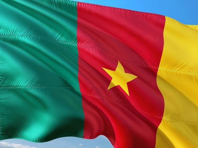 Political Implications of president Biya's Absence on National Stability