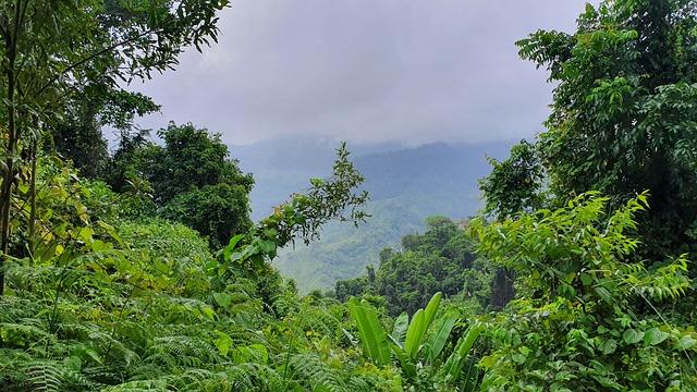 Environmental Consequences: The Legacy of Industrial Pollution in Dongguan