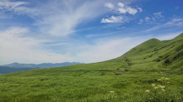 Fukuoka's Green Spaces: Nature Retreats in the Urban Landscape