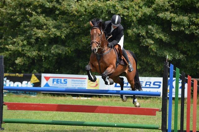 Union Day Equestrian Competitions held in Yangon – Global New Light of Myanmar