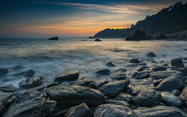 Electric Seaweed Fuels Algal Innovation in Chile