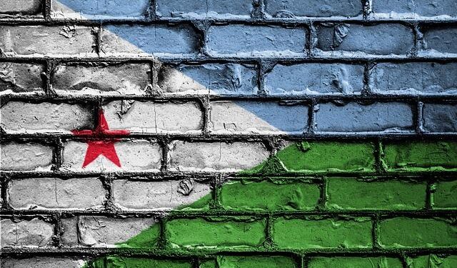 Djibouti’s Mahmoud Ali Youssouf elected to head African Union Commission – FRANCE 24 English