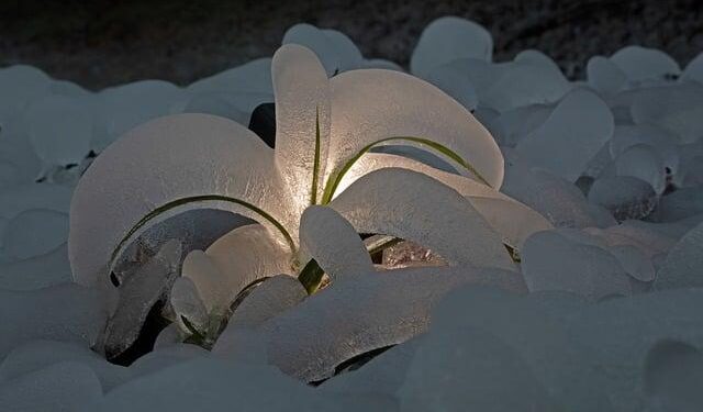 36th China Harbin International Ice Sculpture Competition kicks off – People’s Daily