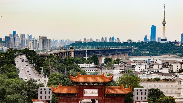 Understanding Wuhan's change during the Pandemic