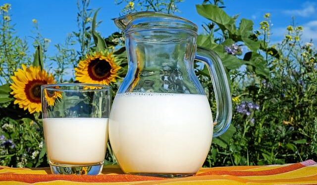 China dairy farms swim in milk as fewer babies, slow economy cut demand – Reuters