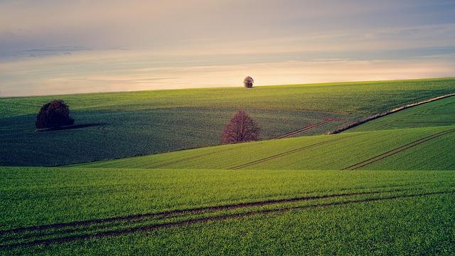 Community Engagement and Local solutions for Sustainable Land Management