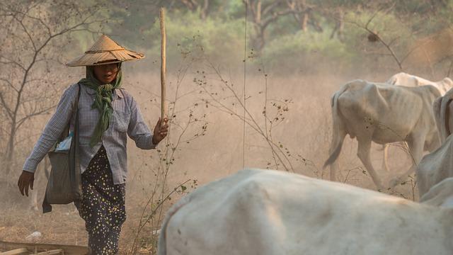 Implications of Population Trends for Myanmar's Economic Development