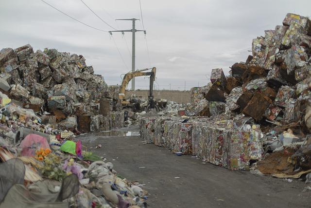 India ⁣to showcase best practices for⁣ waste management during Mahakumbh at ⁤circular ⁢economy meet in Jaipur - The Times of India