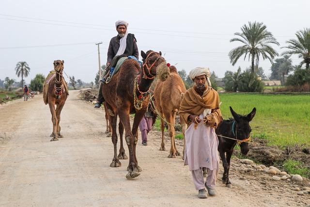 Community Reactions to the Citizenship Approval in Jaisalmer