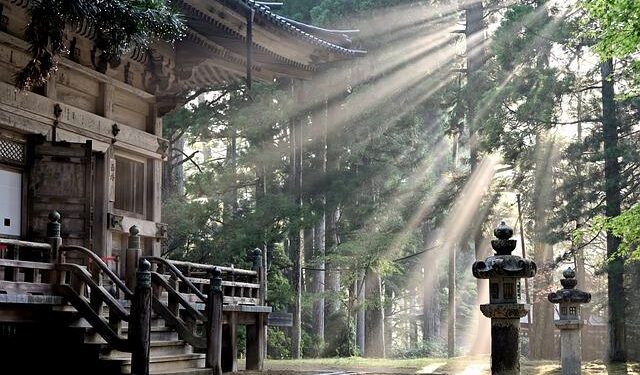 How to Dodge the Tourists: Off the Beaten Track in Japan – Bloomberg