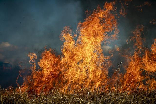 Brasilia wildfire rages across national park, threatening protected environments - FRANCE 24 English