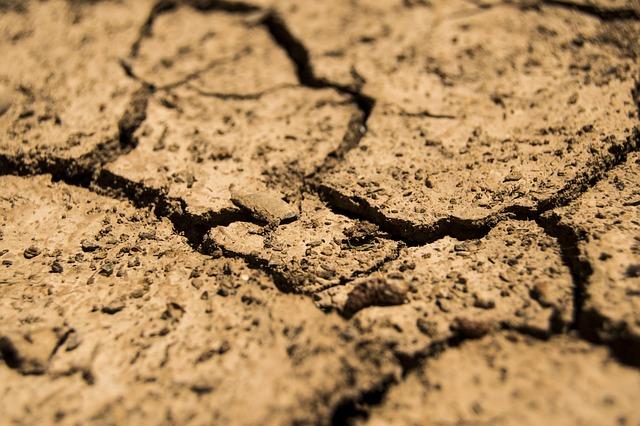 Government Response and Agricultural Policies in Drought-Affected Regions