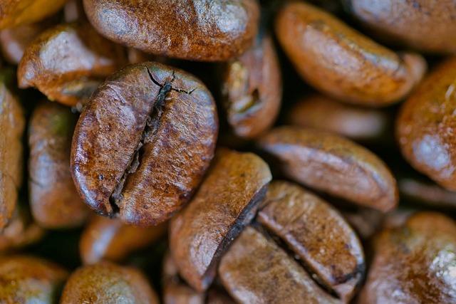 China's Coffee Revolution: How ‌a New Market Emerged