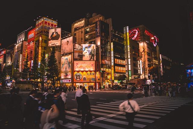 Impact of Subsidies on Tokyo's Inflation Rates