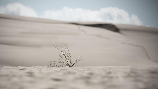 Innovative Farming techniques to Mitigate Drought Risks