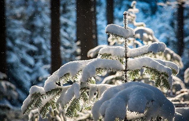 Long-Term Weather Forecast and Its Implications for Istanbul