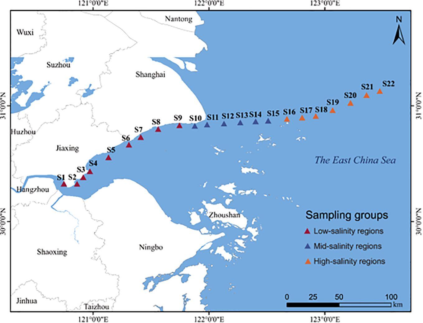 Archaeal Diversity in Northern Hangzhou Bay and East China Sea