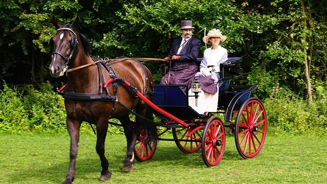 Community Perspectives: Voices from horse Carers and Locals