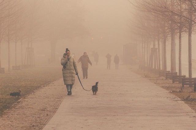 Community Resilience: How Farmers Adapt to Rainy Conditions in Tianjin