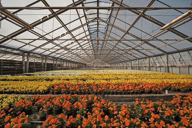 Innovative Technologies Transforming Greenhouse Efficiency and Sustainability