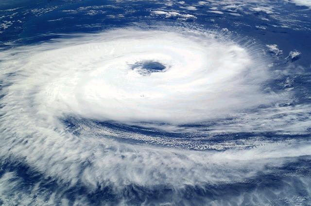 News Typhoon Bebinca shuts down port operations in Shanghai and ningbo - theloadstar.com