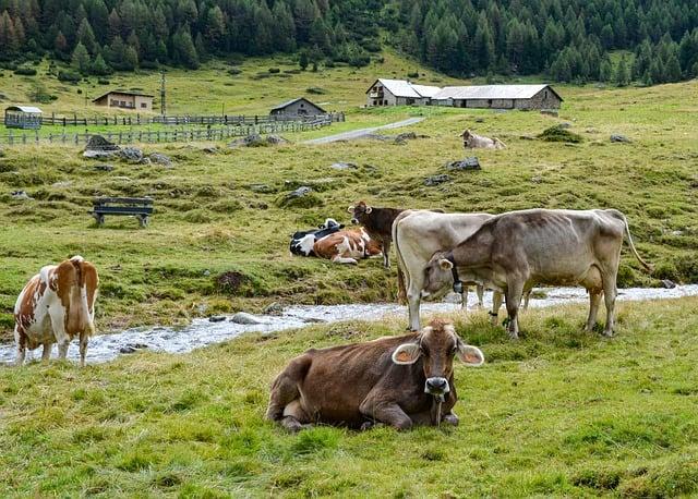 Analyzing China's Role in Brazil's Agricultural Sector Growth