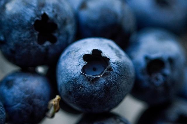 Economic Impact of Blueberry Importation on local Markets