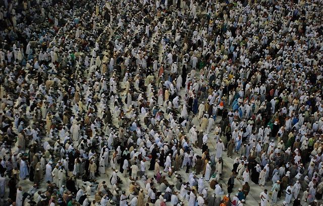 Impact of Financial Contributions on Hajj Logistics and Operations