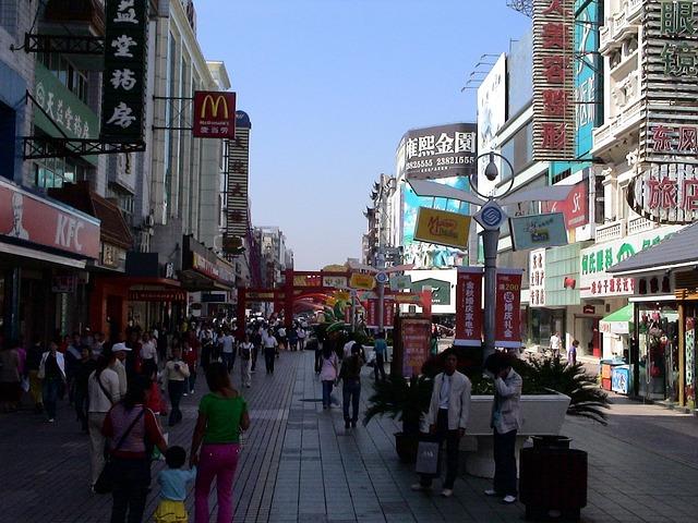 Recommendations for Sustainable Urban Planning in Shenyang