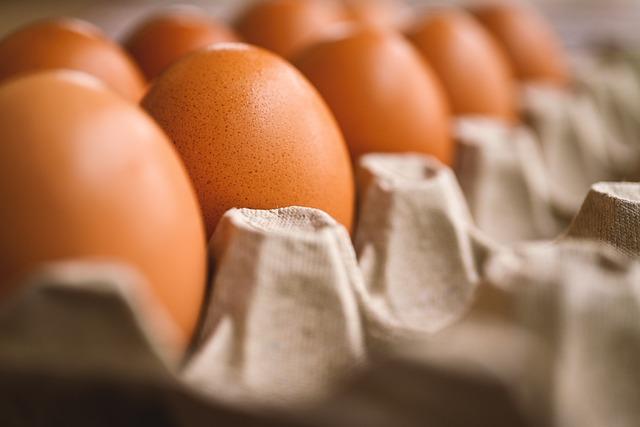 Recommendations for Promoting Healthier egg Consumption Practices