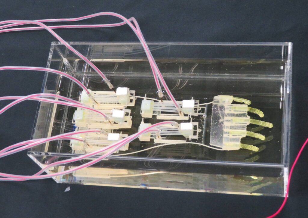 Japanese research team develops world’s largest biohybrid robot hand