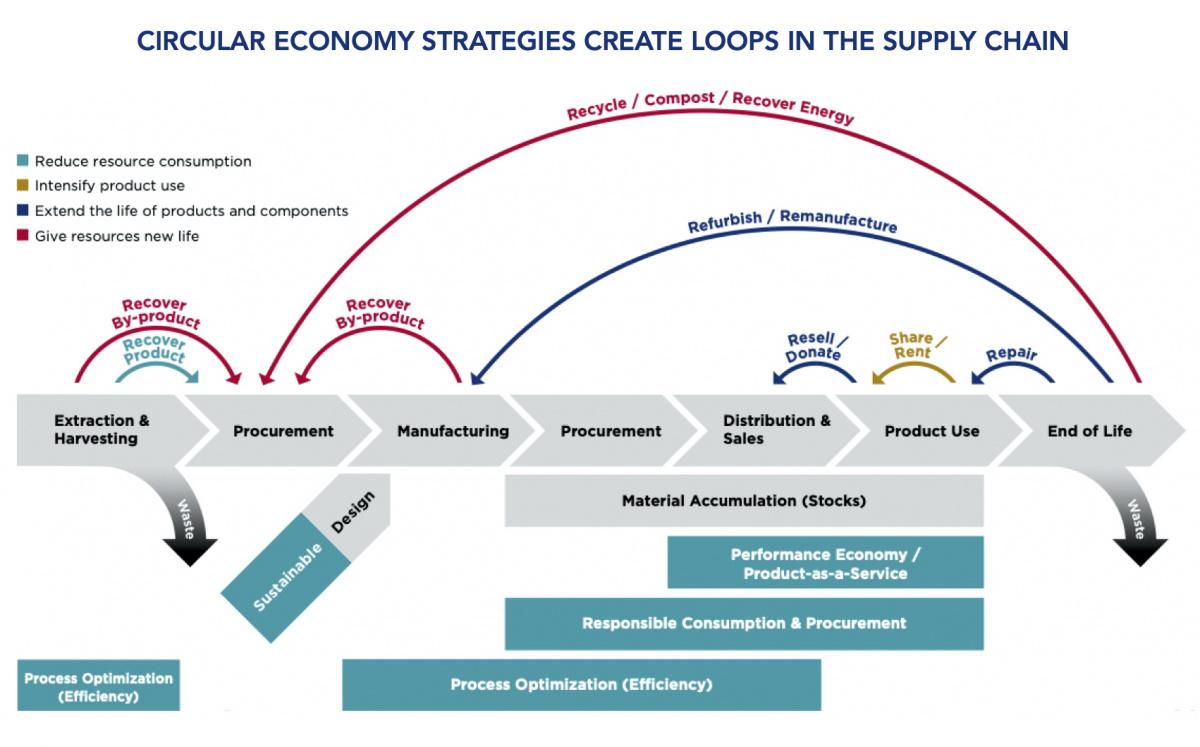 Strengthening Local‍ Supply Chains for‌ Enhanced‌ Healthcare Resilience