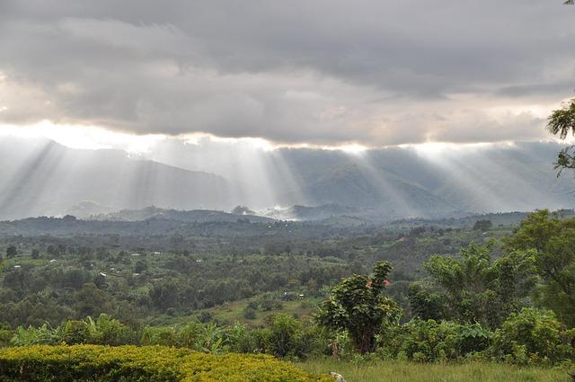 The Role of Regional Partners in Stabilizing DR Congo