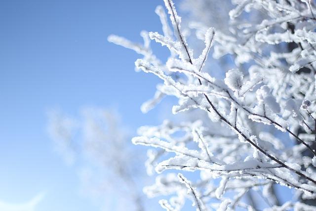 Economic Transformation in Harbin Through Winter Tourism