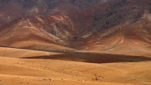 Assessment of Policy Responses to Combat Land Degradation