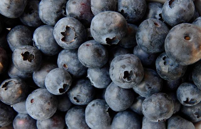 Health Benefits and Culinary Opportunities of Blueberries