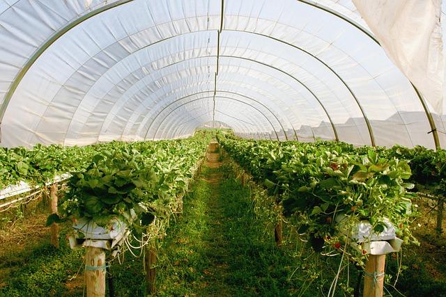 Case Studies of Successful Greenhouse Initiatives around the World