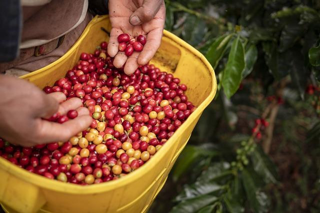 Impact of Climate change on Colombian Agriculture: Challenges and Opportunities