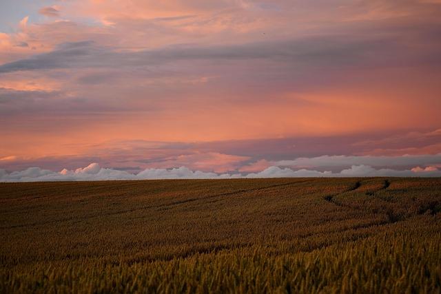 Future Directions: Strategies for Enhancing Agricultural Resilience to Climate Change