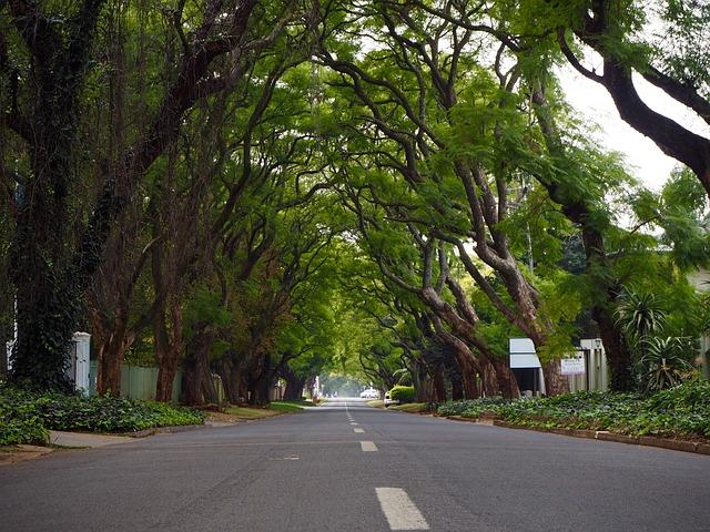 Strategies for Sustainable Water Management in Johannesburg