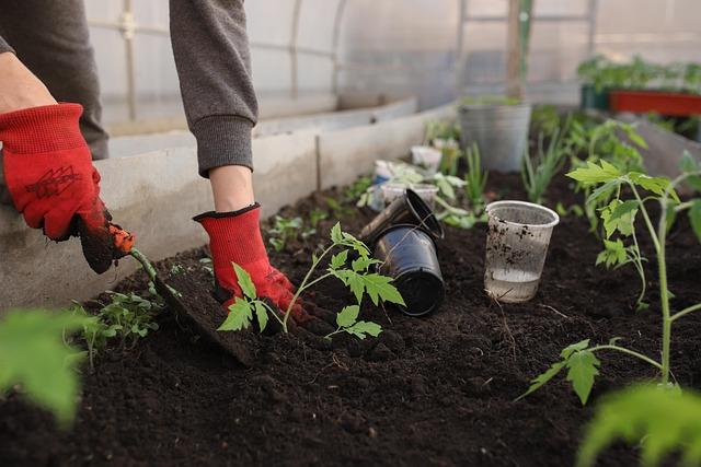 A Botanical Haven: Flora and Fauna of Alexandria's Gem